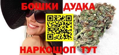 прущие грибы Будённовск