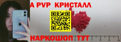 прущие грибы Будённовск