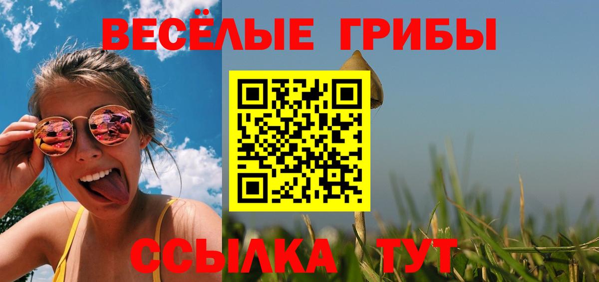 Рассказово  Псилоцибиновые грибы ЛСД  наркота  Вход с VPN 